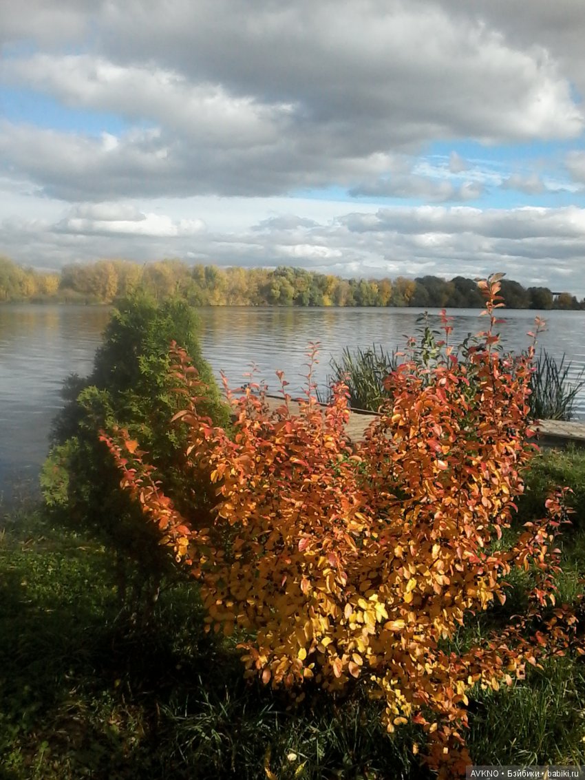 Наши красоты,природы — Болталка и разговоры обо всем: жизнь (фото 6)