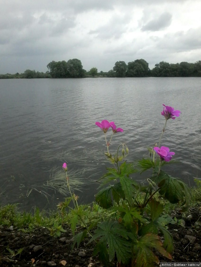 Наши красоты,природы — Болталка и разговоры обо всем: жизнь