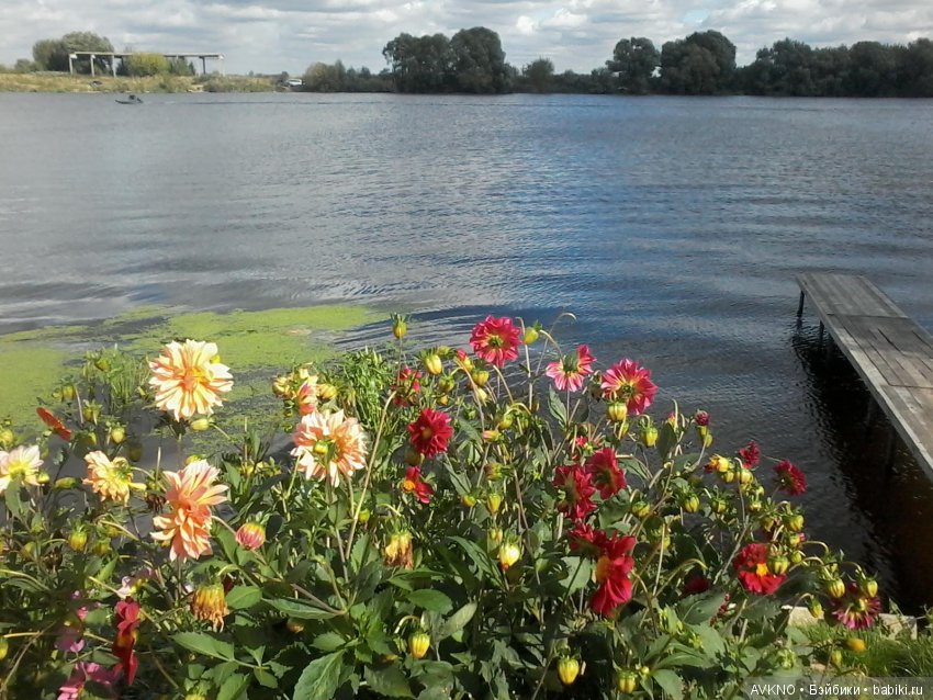 Наши красоты,природы — Болталка и разговоры обо всем: жизнь