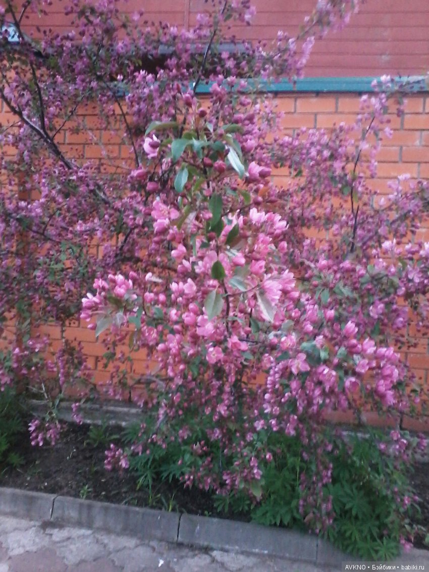 Наши красоты,природы — Болталка и разговоры обо всем: жизнь