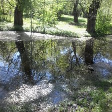 Наши красоты,природы