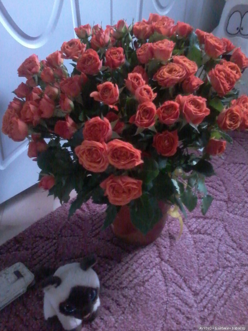 День рождения, грустный праздик (фото 3)