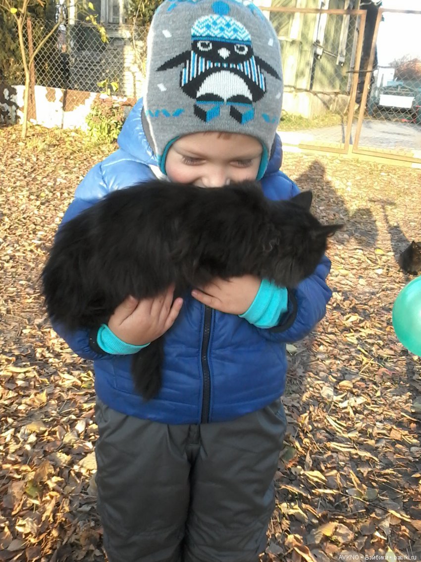 Мягкие,пушистые наши друзья (фото 3)