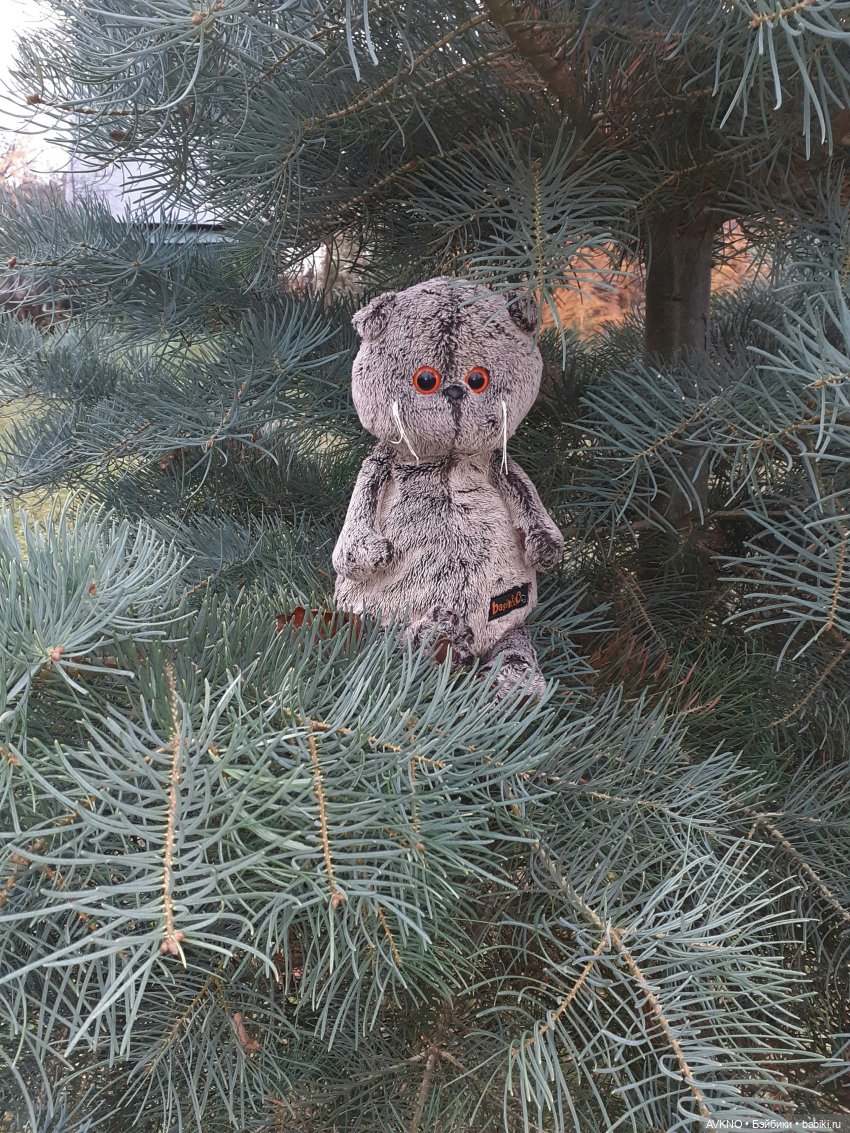 Прогулка Басика — Кот Басик