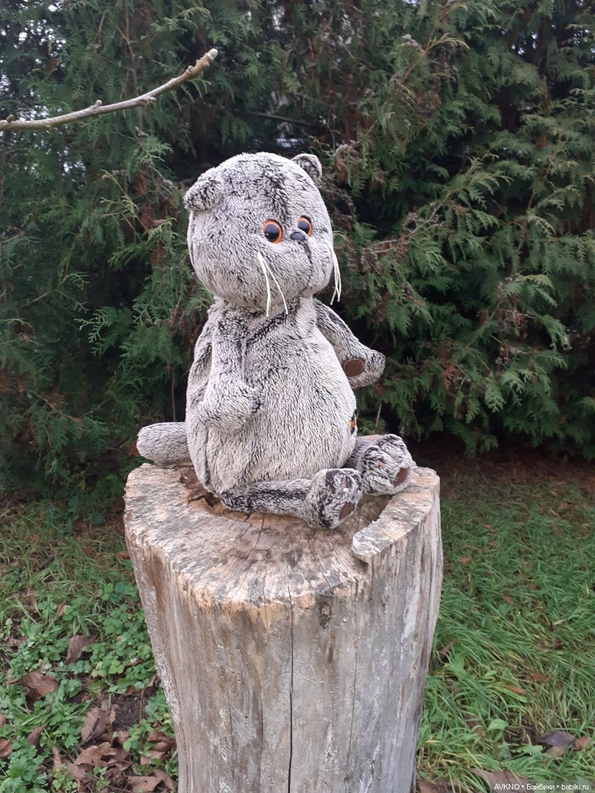 Прогулка Басика — Кот Басик