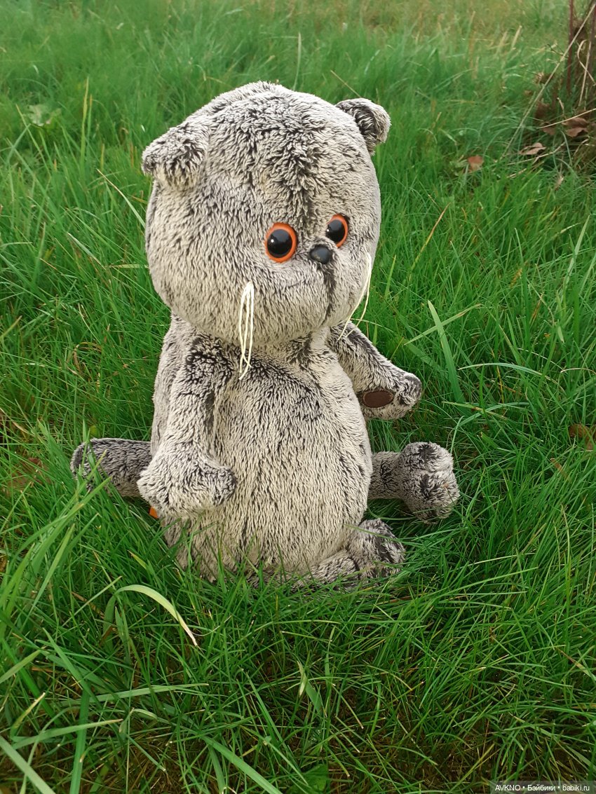 Прогулка Басика — Кот Басик