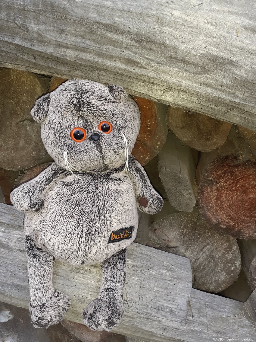 Прогулка Басика — Кот Басик