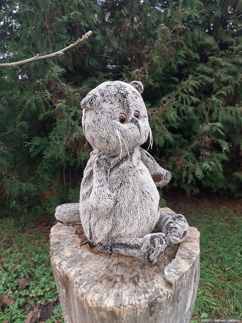 Прогулка Басика — Кот Басик