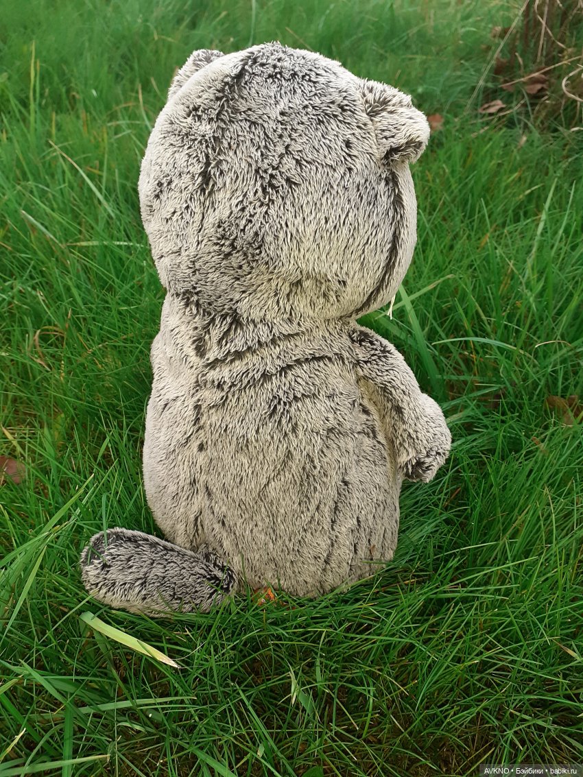 Прогулка Басика — Кот Басик