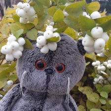 Прогулка Басика