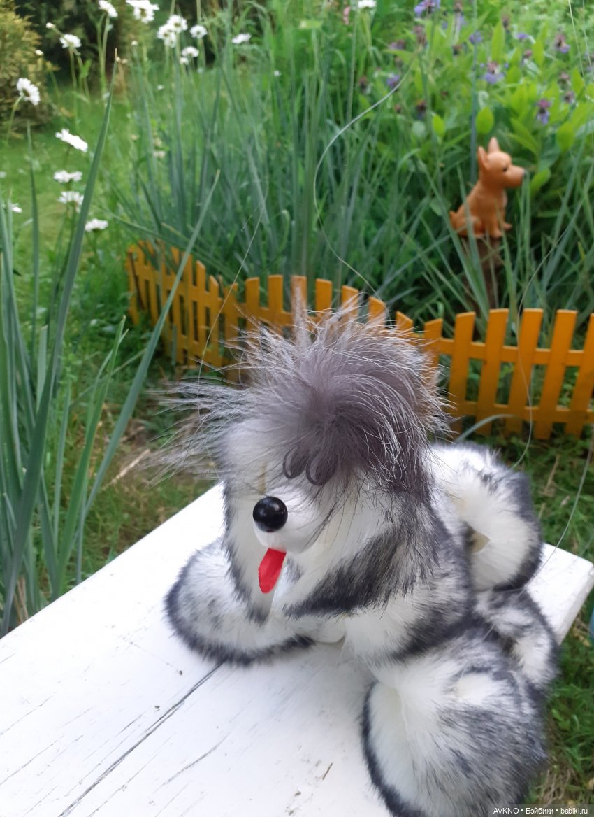 Иннокентий,или просто Кеша (фото 3)