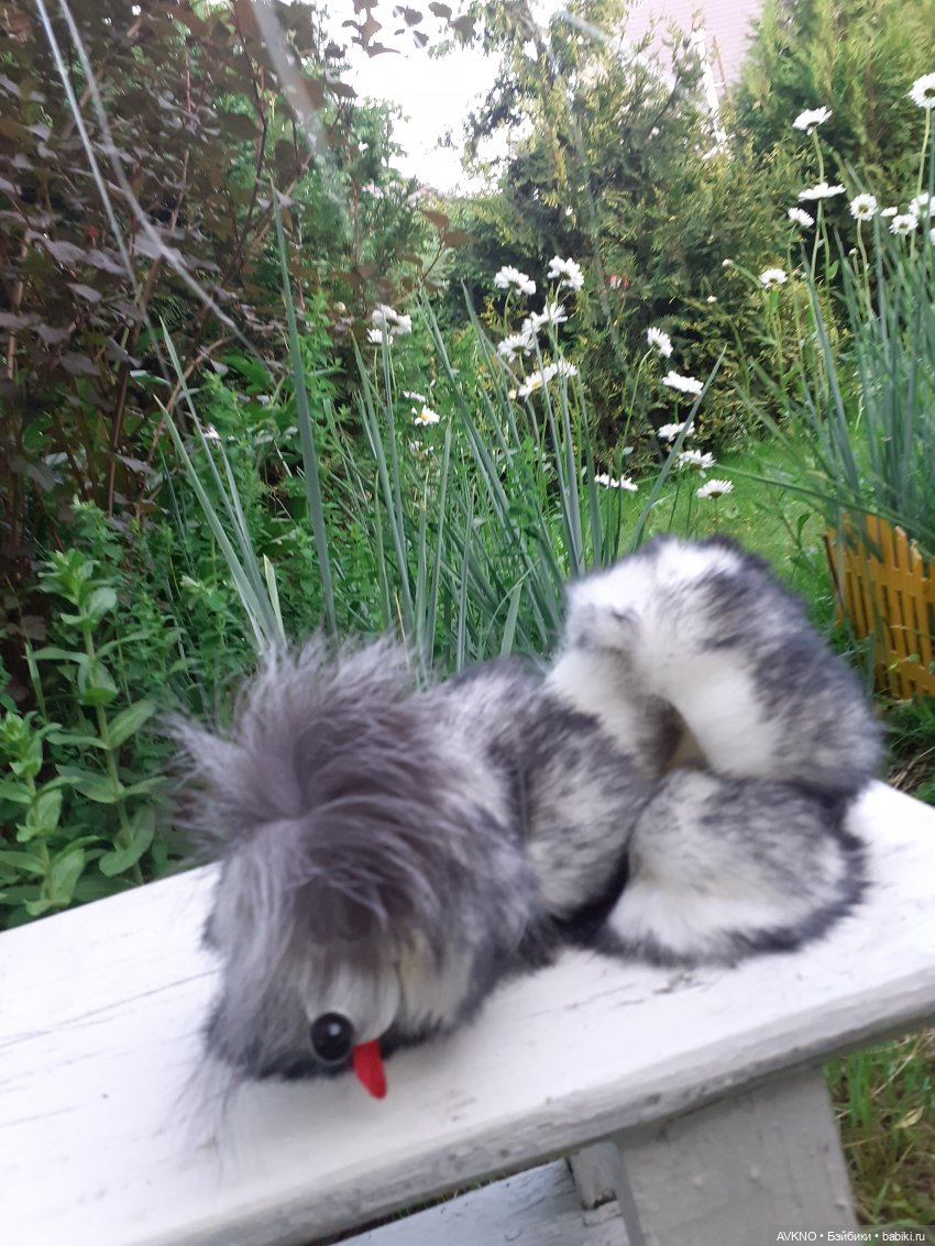 Иннокентий,или просто Кеша