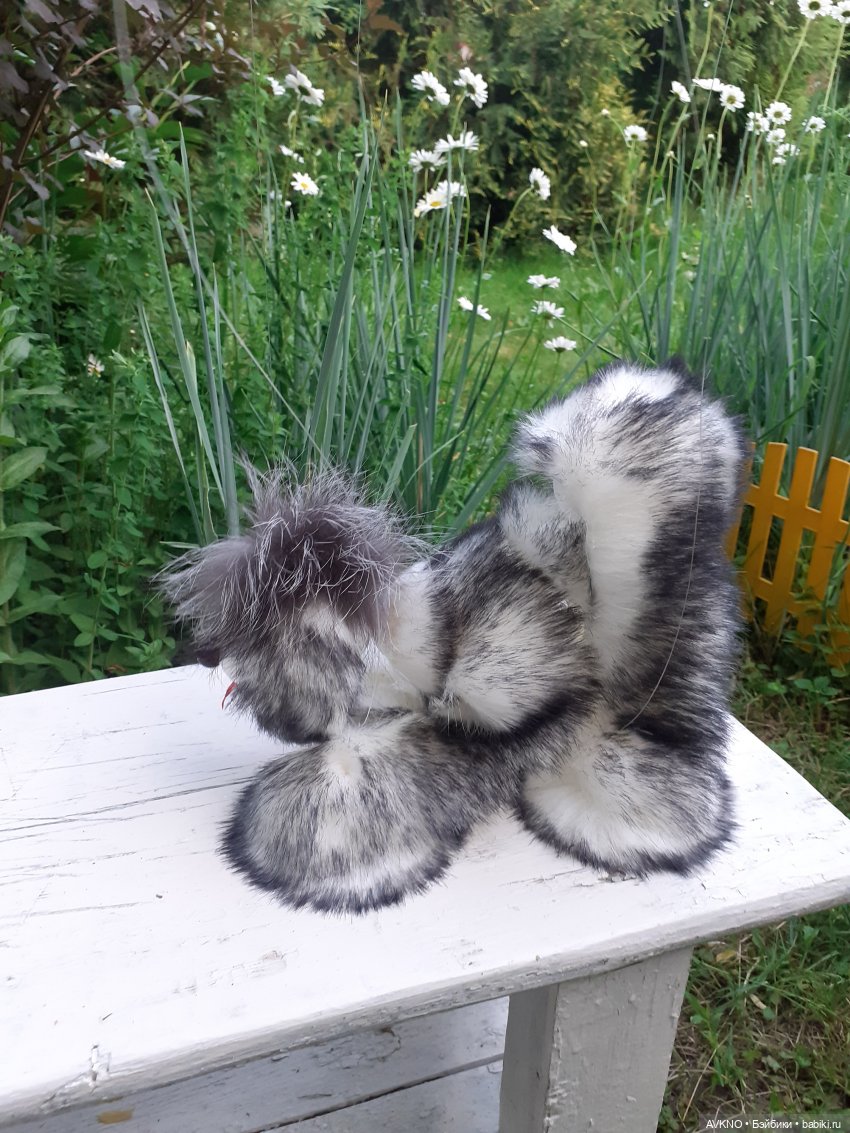 Иннокентий,или просто Кеша (фото 9)