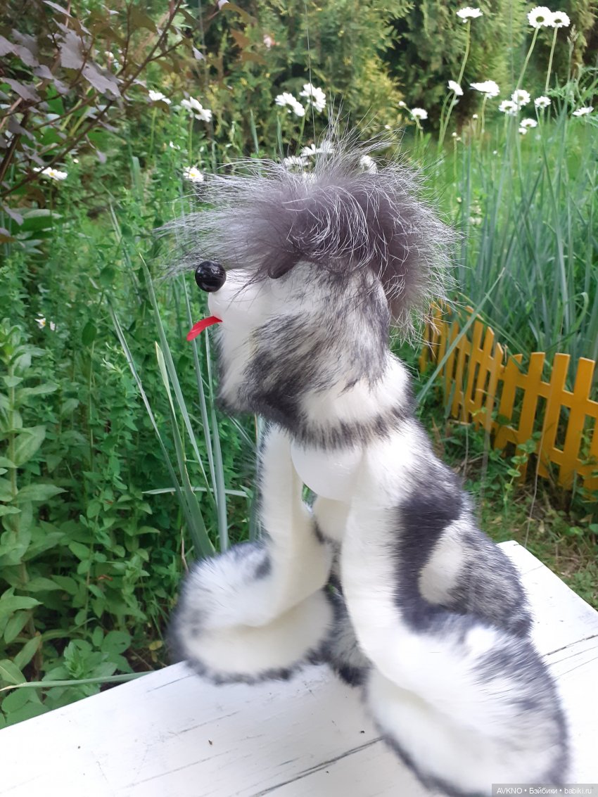 Иннокентий,или просто Кеша