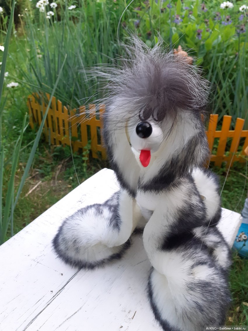 Иннокентий,или просто Кеша (фото 2)