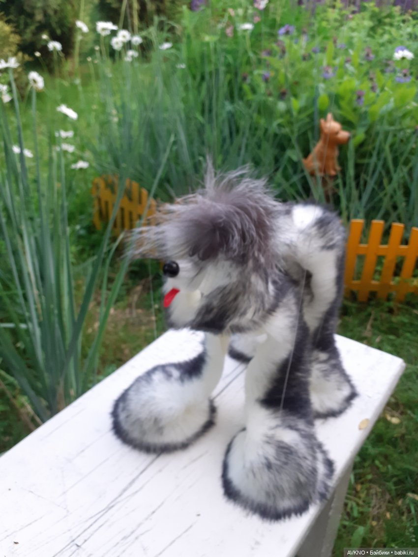 Иннокентий,или просто Кеша (фото 6)