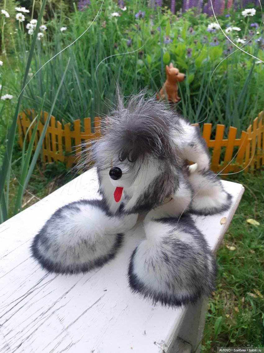 Иннокентий,или просто Кеша (фото 7)