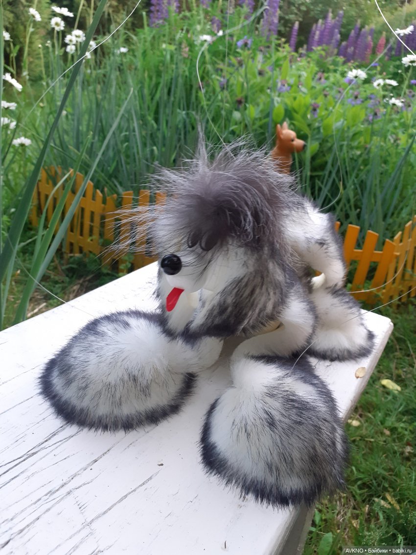 Иннокентий,или просто Кеша (фото 4)