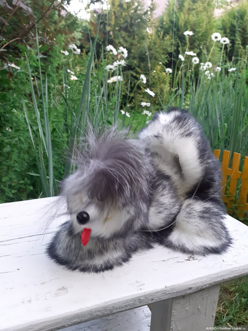 Иннокентий,или просто Кеша