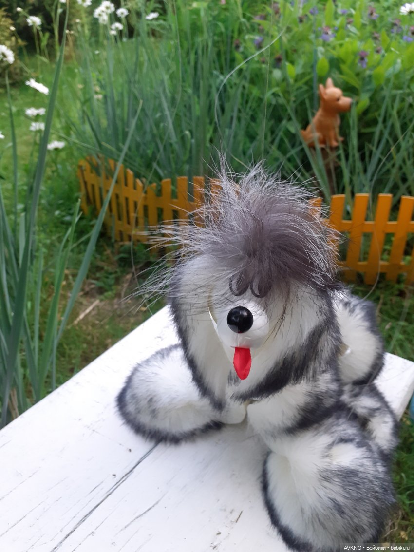 Иннокентий,или просто Кеша (фото 5)