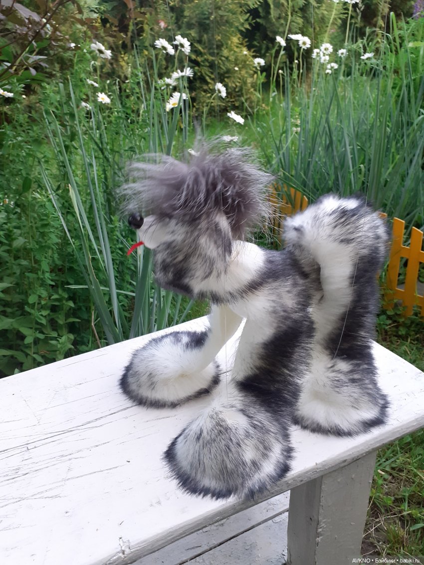 Иннокентий,или просто Кеша (фото 8)