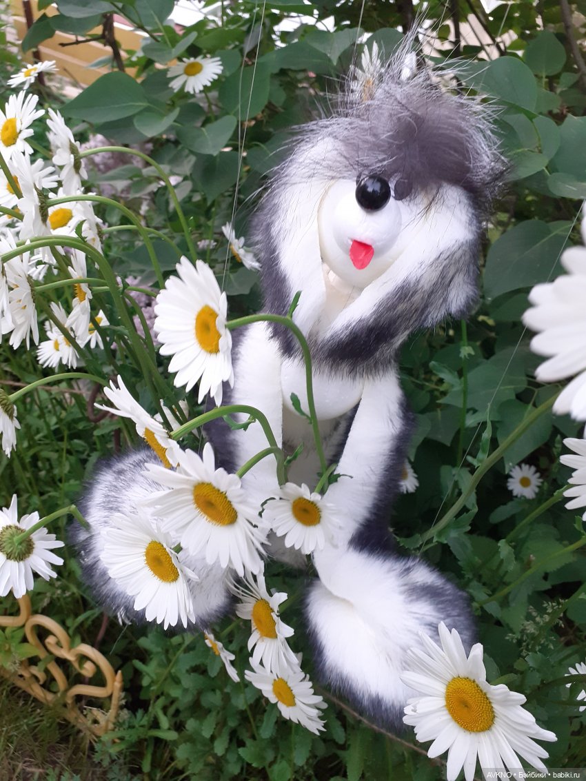 Иннокентий,или просто Кеша