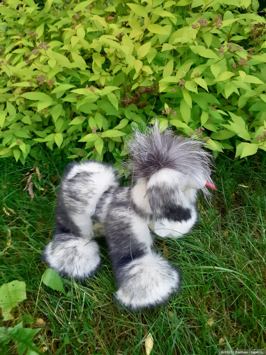 Иннокентий,или просто Кеша