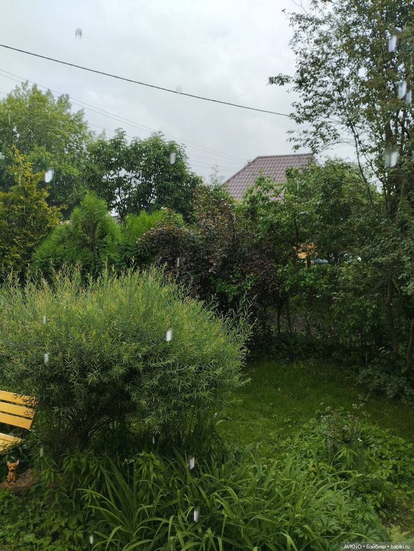 Дождик🌧️☘️ — Куклы Реборн (Reborn): домашние фото (фото 7)