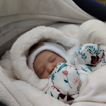 Прогулка, январь без снега☃️