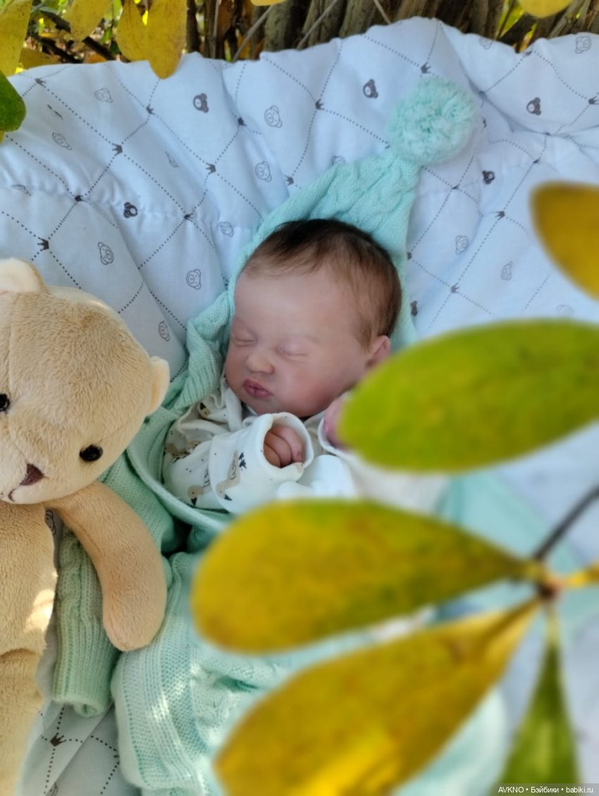 Осень🍂🍁🍂🍂🍂 — Куклы Реборн (Reborn): домашние фото
