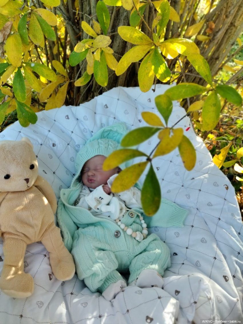 Осень🍂🍁🍂🍂🍂 — Куклы Реборн (Reborn): домашние фото