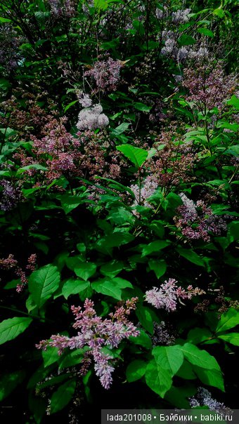 Экскурсия в музей народного творчества г.Актюба