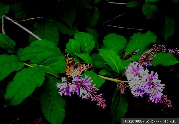 Экскурсия в музей народного творчества г.Актюба