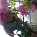 Куколки красавицы. Коллекция кукол