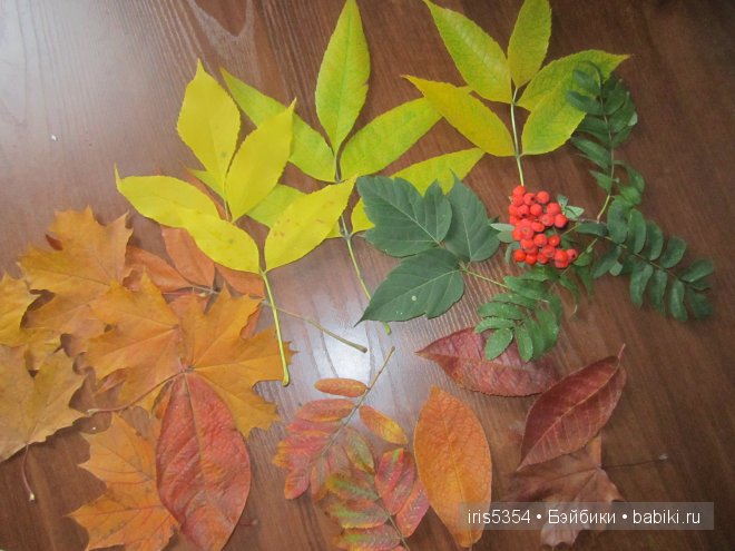 Осенние краски. Одежда для кукол Готц | Бэйбики Осенние краски. Одежда для кукол Готц (фото 2)