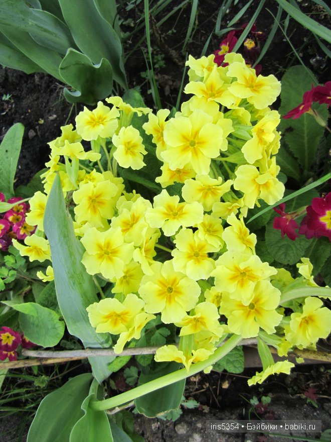 Вспоминая краски лета — Одежда и обувь для кукол своими руками: фото (фото 2)