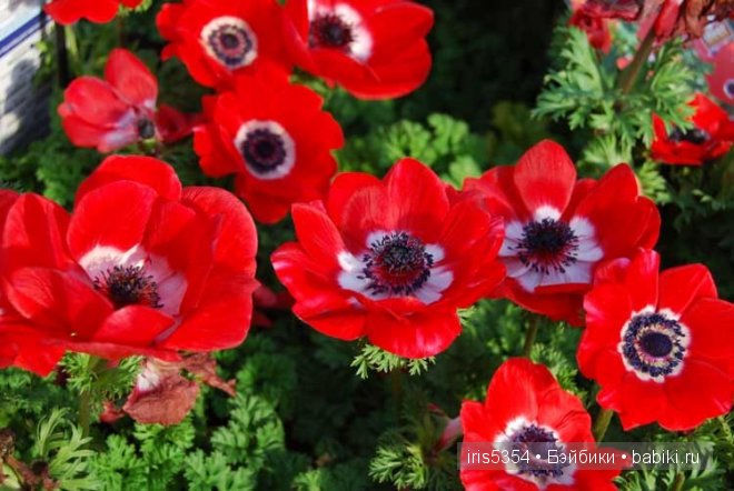 Вспоминая краски лета — Одежда и обувь для кукол своими руками: фото