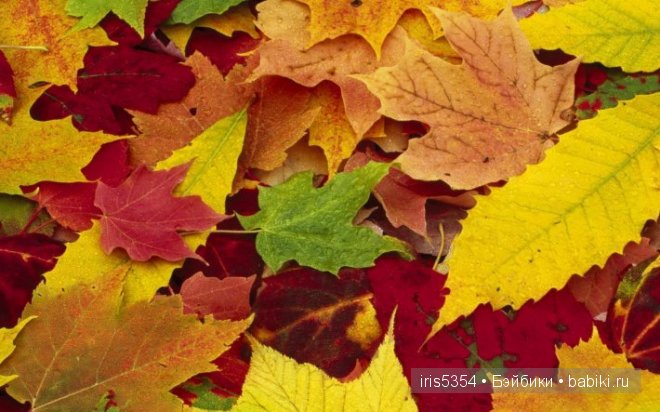 Одежда для прогулок Эмилии (Готц) | Бэйбики Одежда для прогулок Эмилии (Готц)