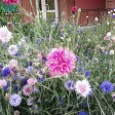 Как действительно подготовиться стать родителями. Осторожно юмор!