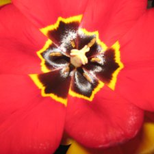 Старый дом.