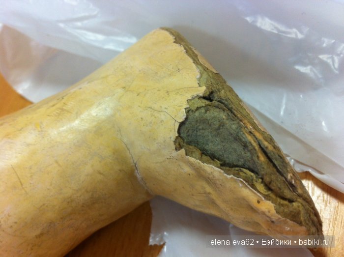 Почти мистическая история