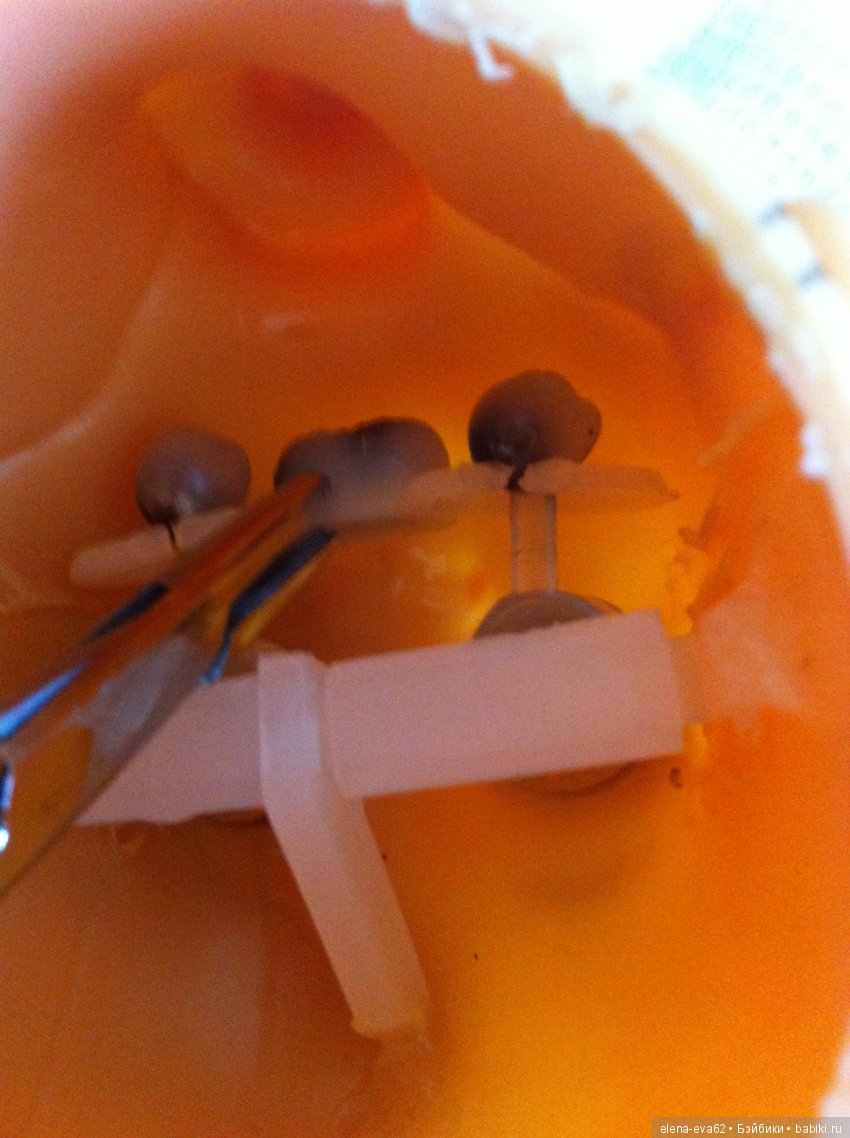 Давши слово держись, не давши крепись (фото 9)