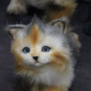 "Хелло, Тедди2 -декабрь 2024