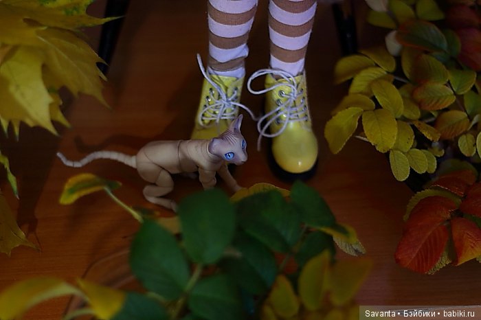 Осень... Багрец и золото... Laryssa Light pink by Kaye Wiggs