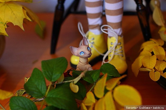 Осень... Багрец и золото... Laryssa Light pink by Kaye Wiggs