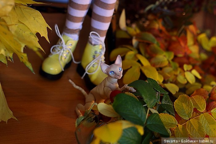 Осень... Багрец и золото... Laryssa Light pink by Kaye Wiggs