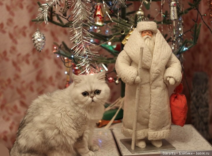 Новогодние фотографии кукол Кае Вигс, моих любимых каешинок