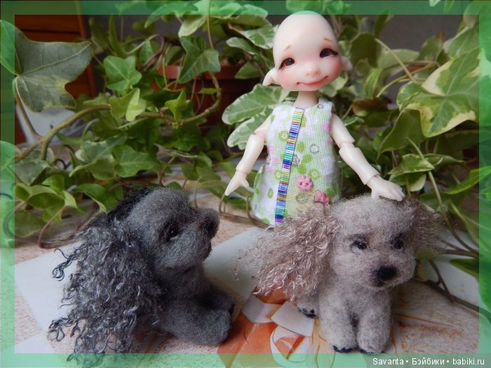 Крошка Сьюзи и её собаки — Куклы Circus Kane (Nefer Kane): французские BJD (БЖД) (фото 4)