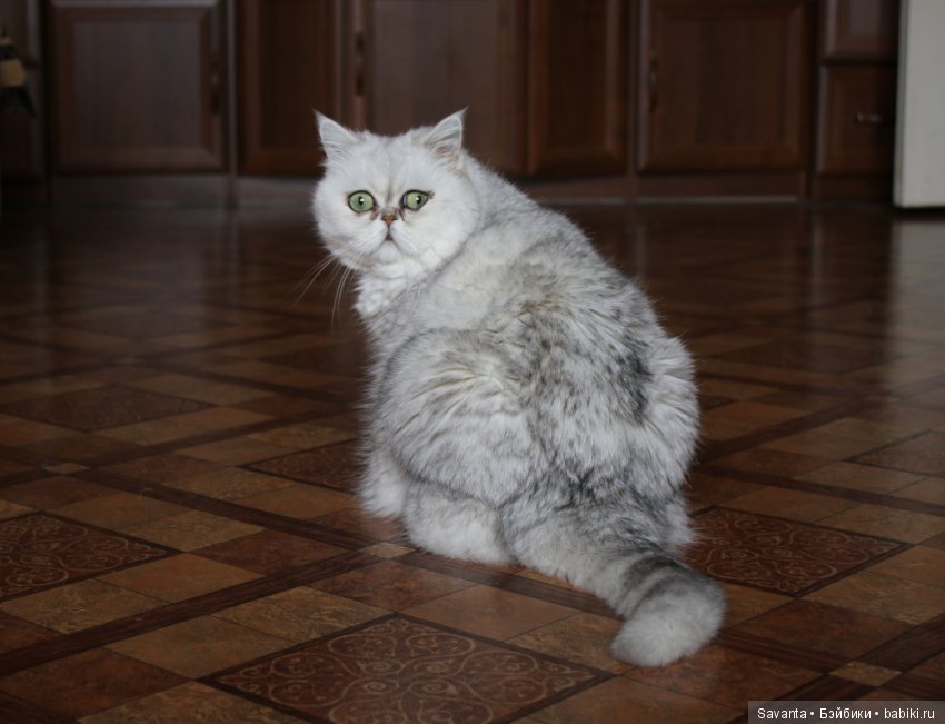 Что не вошло в кадр. Без конкурса (фото 4)