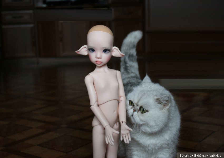 Что не вошло в кадр. Без конкурса